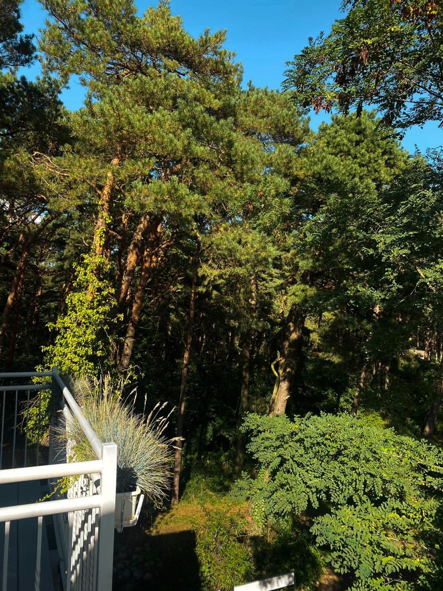 Orbisa Pokoje I Apartamenty 웨바 외부 사진